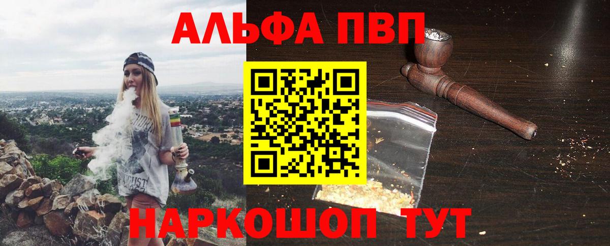 A PVP СК Сыктывкар
