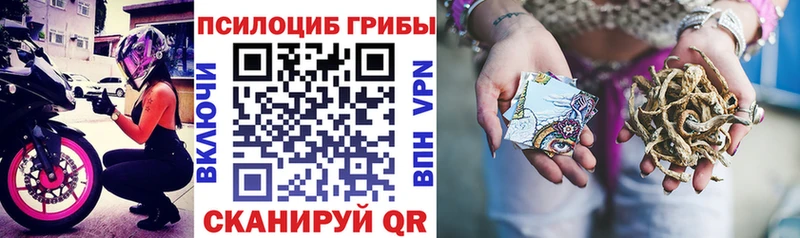 Галлюциногенные грибы прущие грибы  дарк нет Telegram  Сыктывкар  магазин    кракен tor 